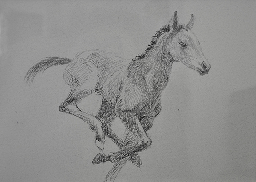 horse