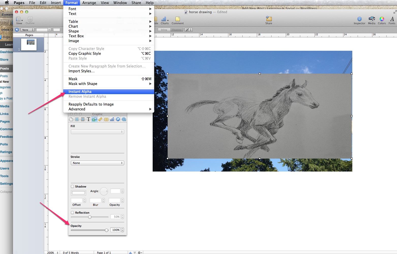 instantalpha How to work with images